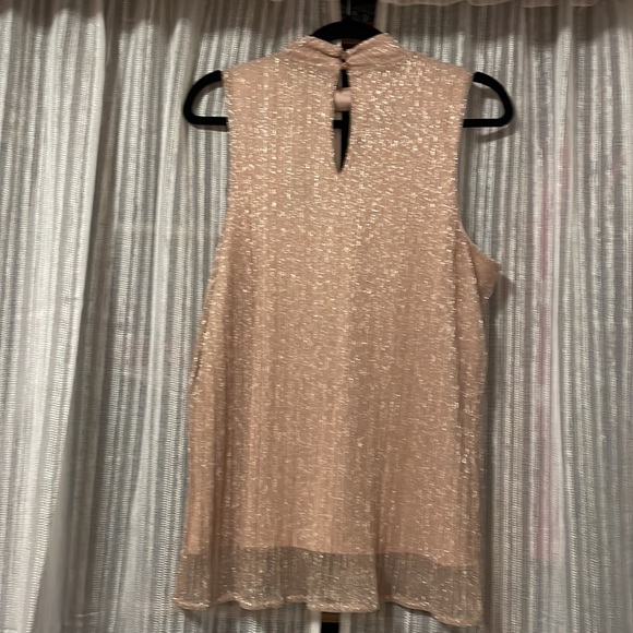 Adiva;Size Large Shimmery Blush Pink, fully lined; sleeveless top - Picture 3 of 5